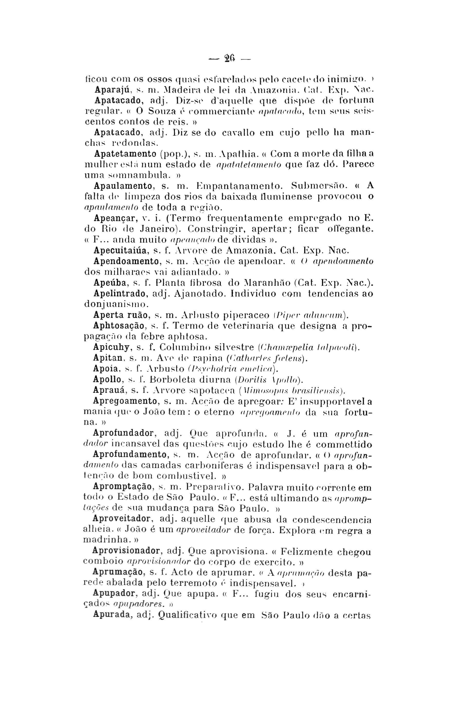Página 26