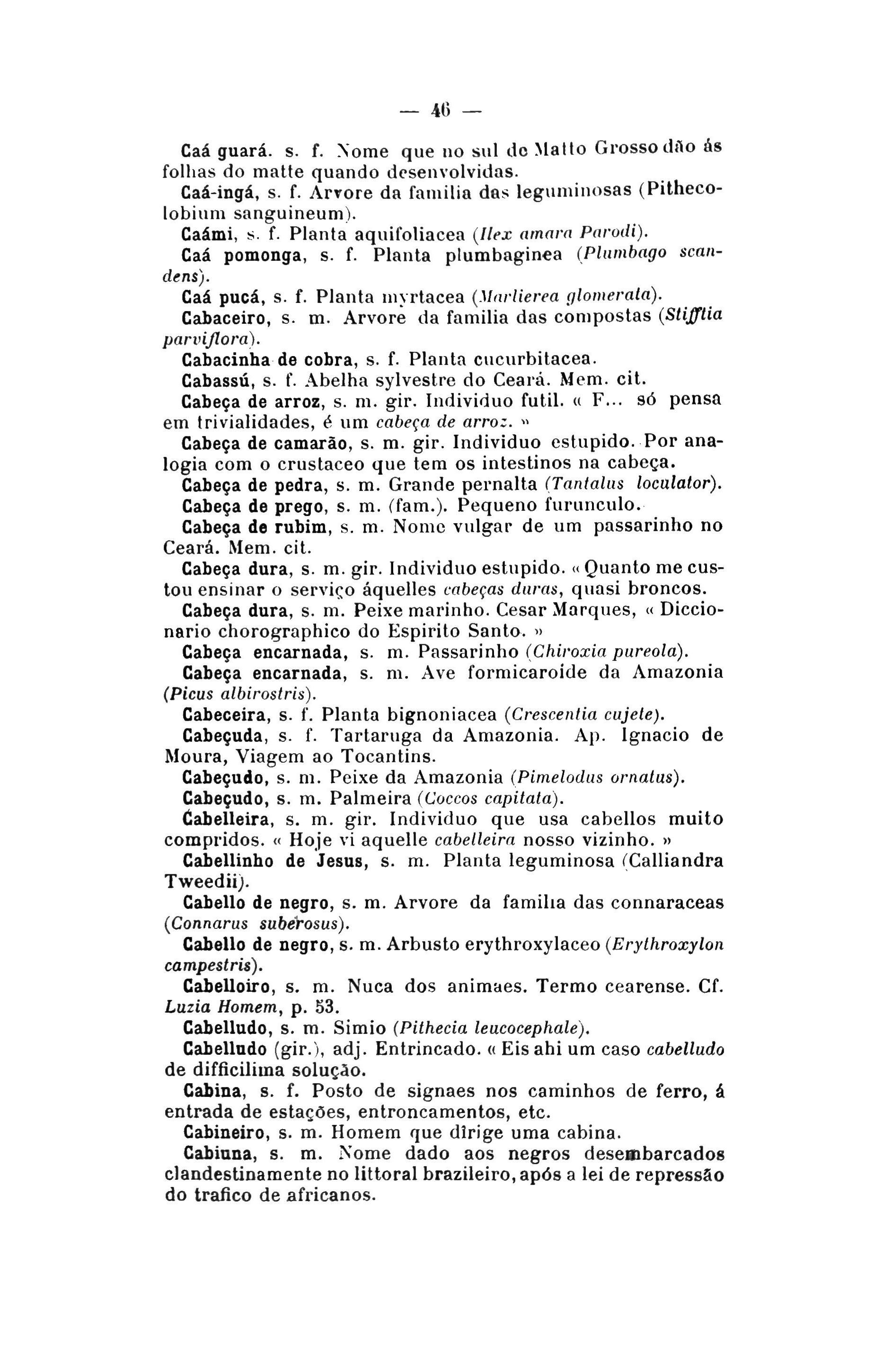 Página 46