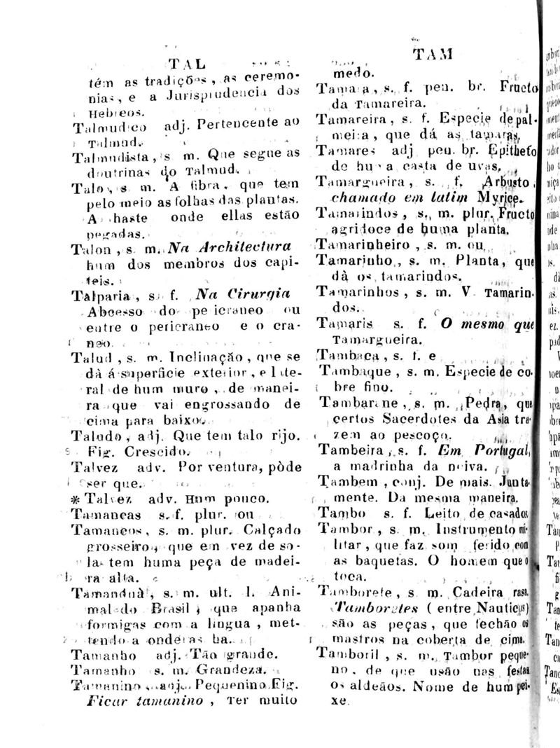 Página 1021_Diccionario da Lingua Brasileira