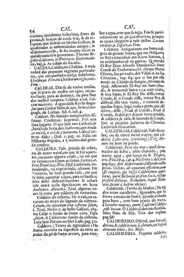 Página 1093_VOCABULARIO PORTUGUEZ & LATINO, aulico, anatomico, architectonico...