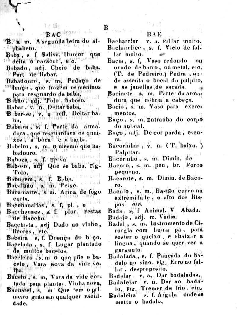 Página 127_Diccionario da Lingua Brasileira