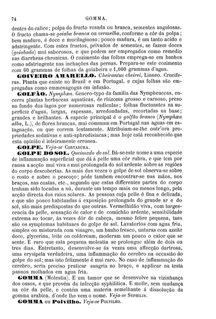 Página 1358_Diccionario de Medicina Popular e das sciencias accessórias para uso das familias