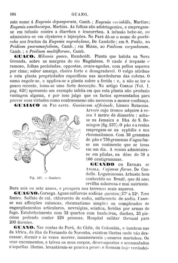Página 1388_Diccionario de Medicina Popular e das sciencias accessórias para uso das familias