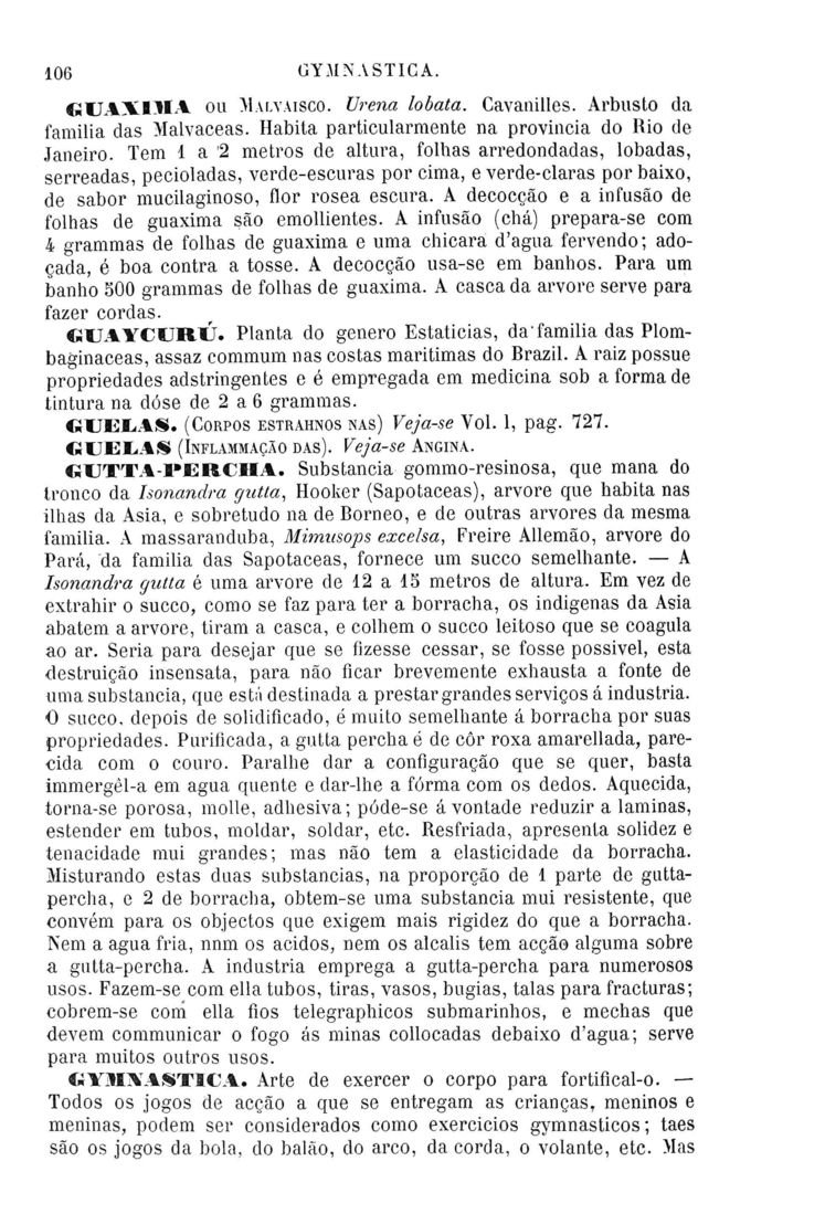 Página 1390_Diccionario de Medicina Popular e das sciencias accessórias para uso das familias