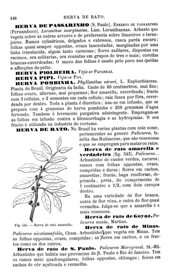 Página 1432_Diccionario de Medicina Popular e das sciencias accessórias para uso das familias