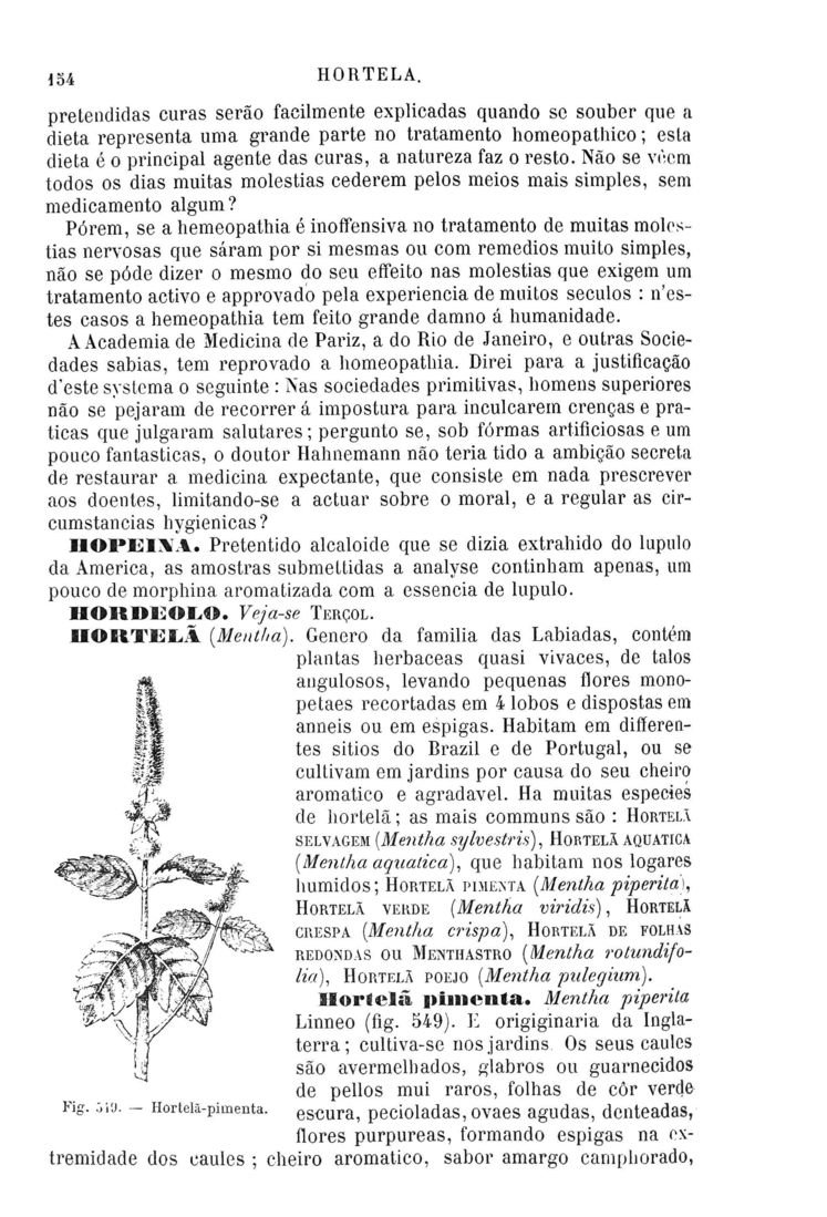 Página 1438_Diccionario de Medicina Popular e das sciencias accessórias para uso das familias