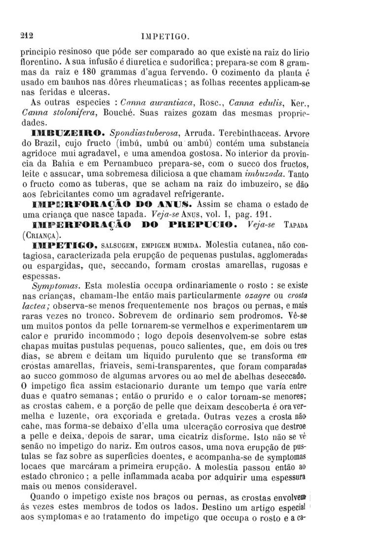 Página 1498_Diccionario de Medicina Popular e das sciencias accessórias para uso das familias