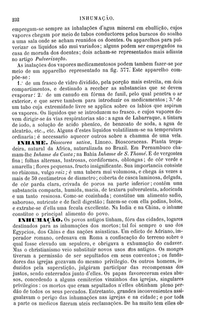 Página 1518_Diccionario de Medicina Popular e das sciencias accessórias para uso das familias