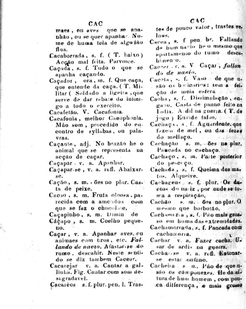 Página 172_Diccionario da Lingua Brasileira