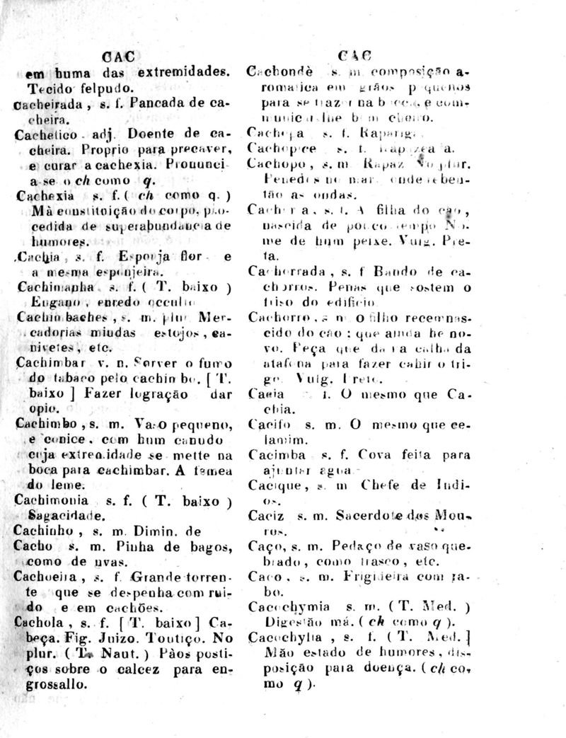 Página 173_Diccionario da Lingua Brasileira