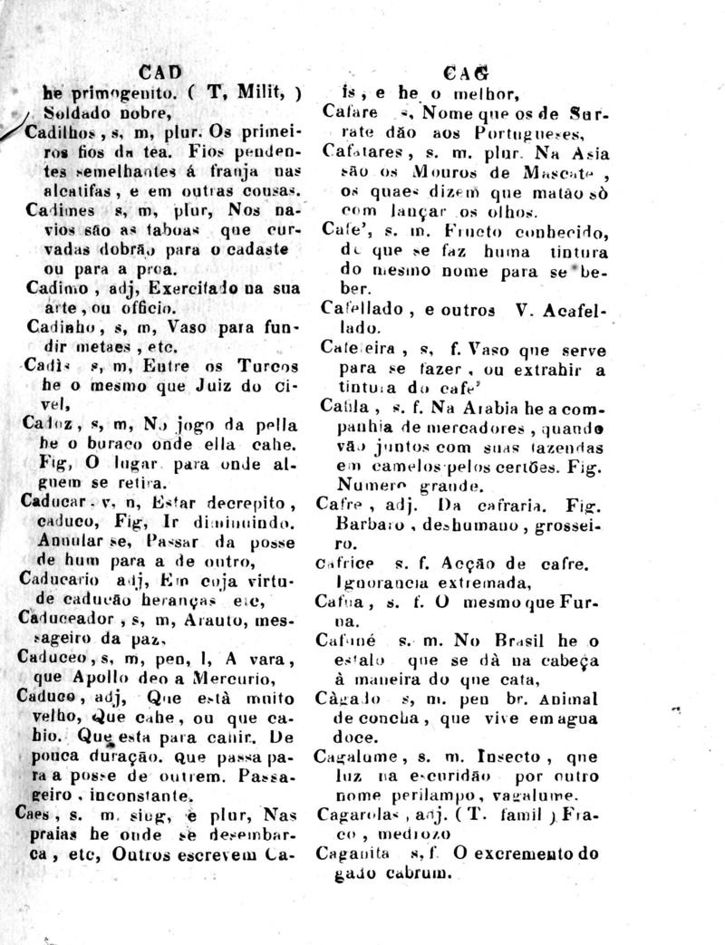 Página 175_Diccionario da Lingua Brasileira