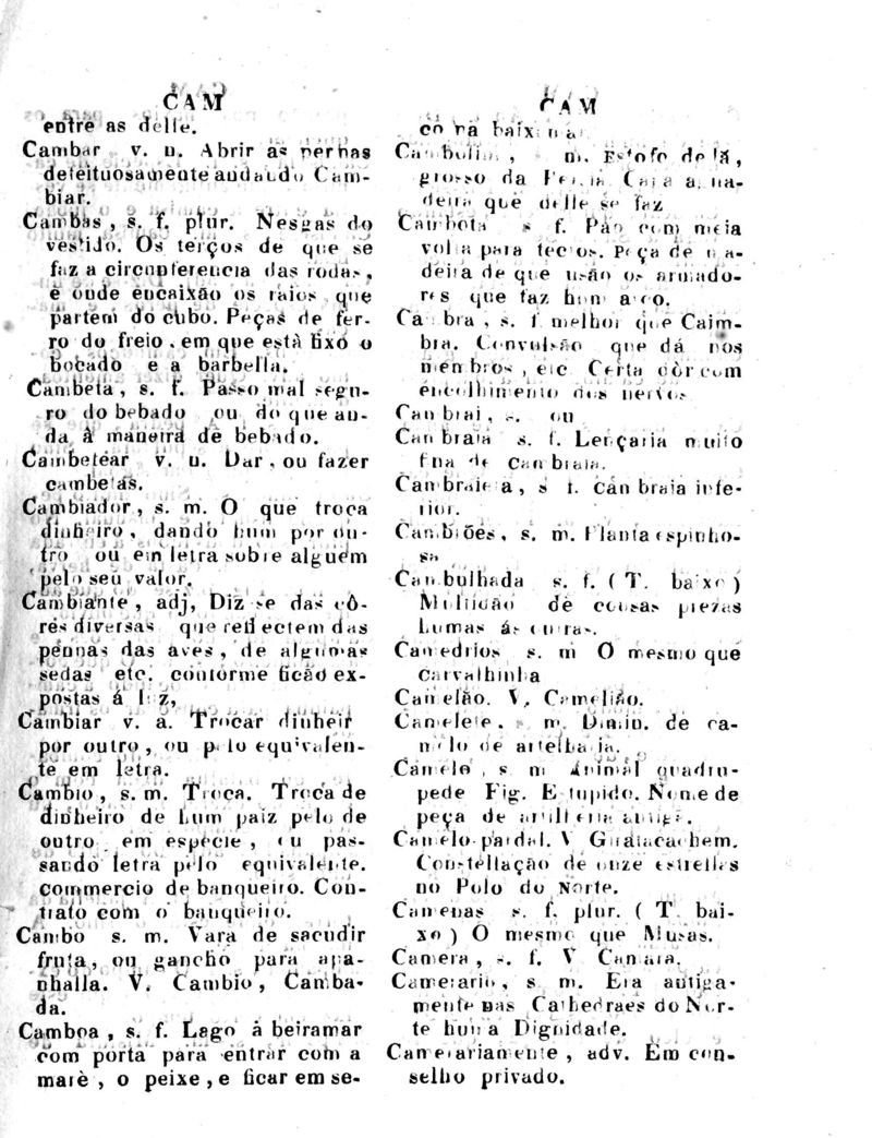 Página 183_Diccionario da Lingua Brasileira