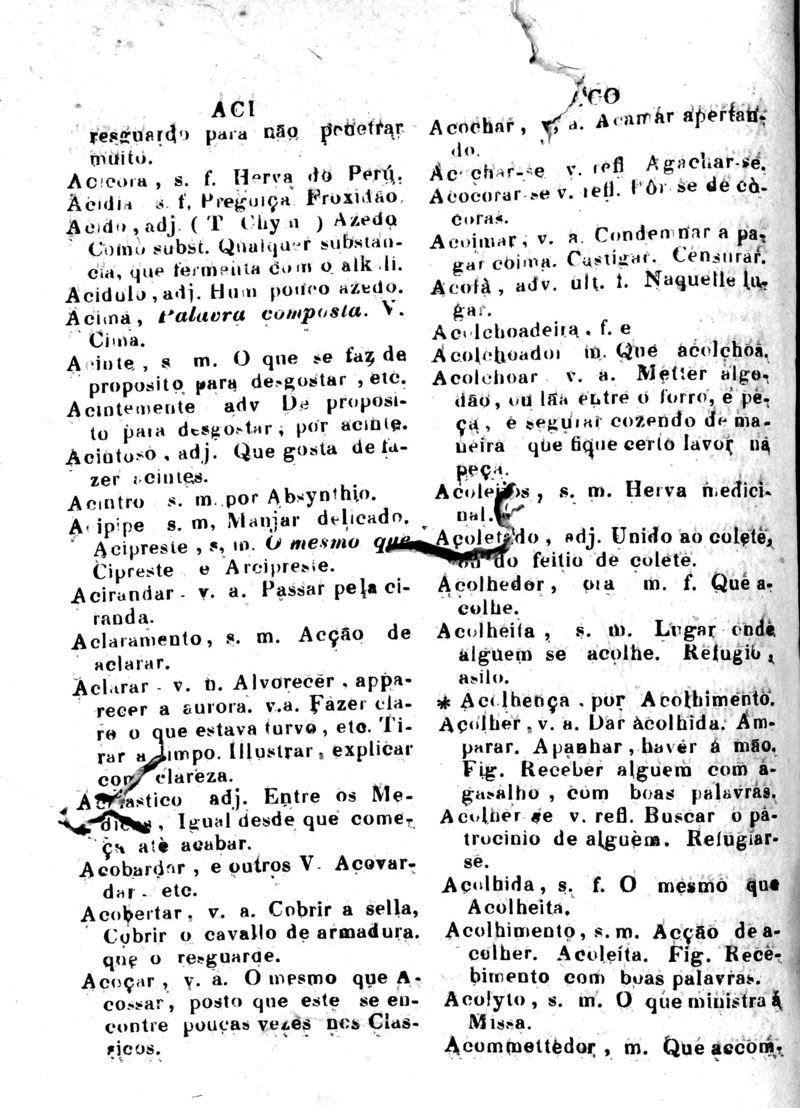 Página 18_Diccionario da Lingua Brasileira