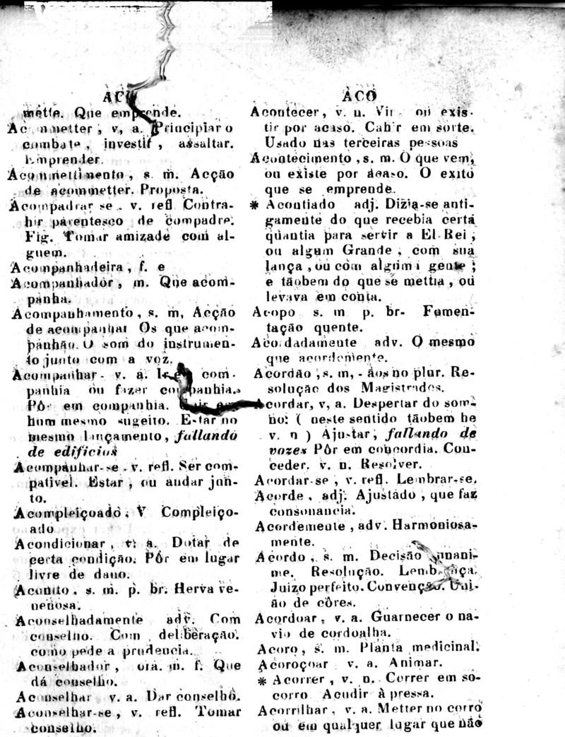 Página 19_Diccionario da Lingua Brasileira