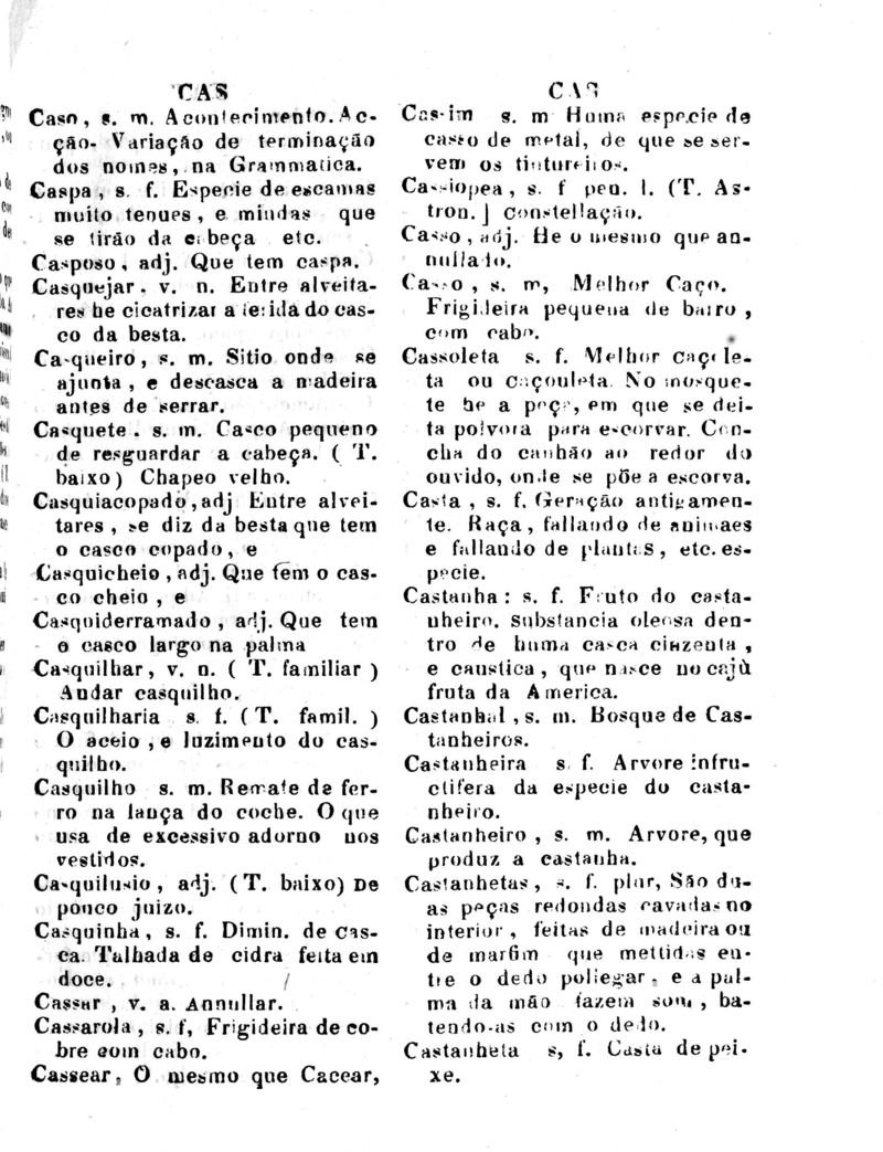 Página 205_Diccionario da Lingua Brasileira