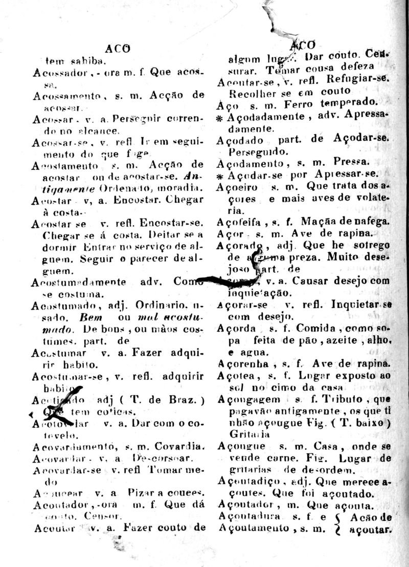 Página 20_Diccionario da Lingua Brasileira