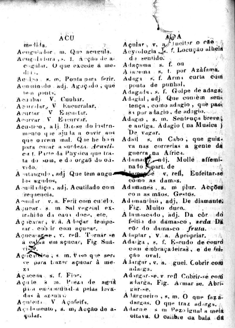 Página 22_Diccionario da Lingua Brasileira