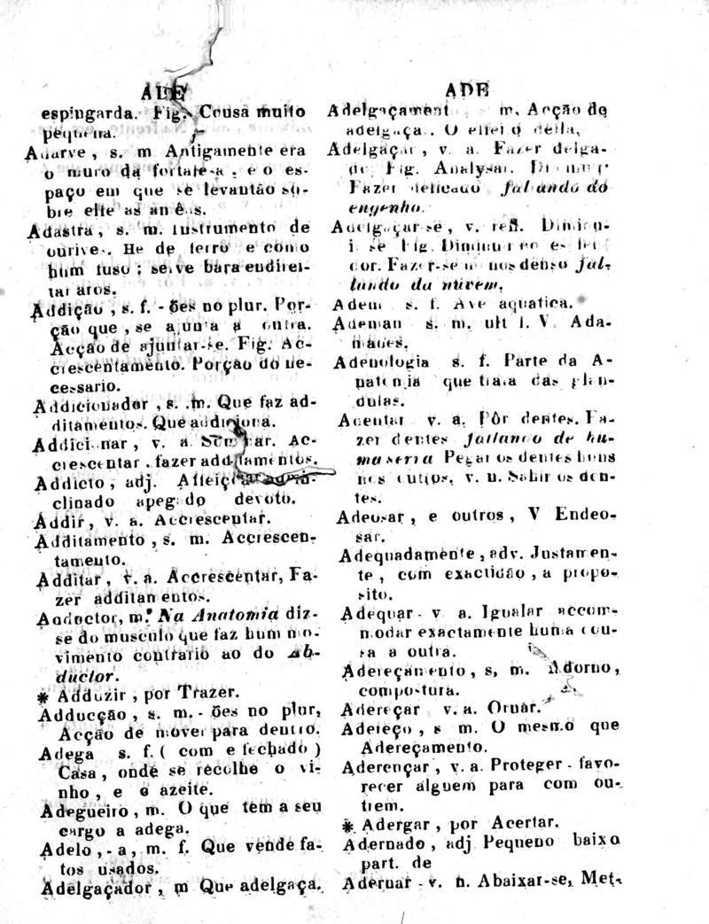 Página 23_Diccionario da Lingua Brasileira