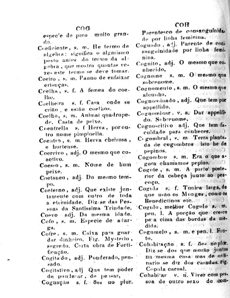 Página 244_Diccionario da Lingua Brasileira