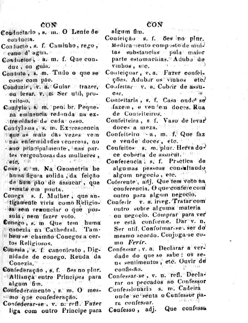 Página 263_Diccionario da Lingua Brasileira