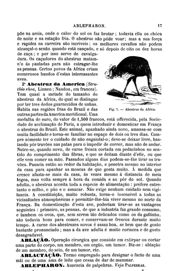 Página 29_Diccionario de Medicina Popular e das sciencias accessórias para uso das familias