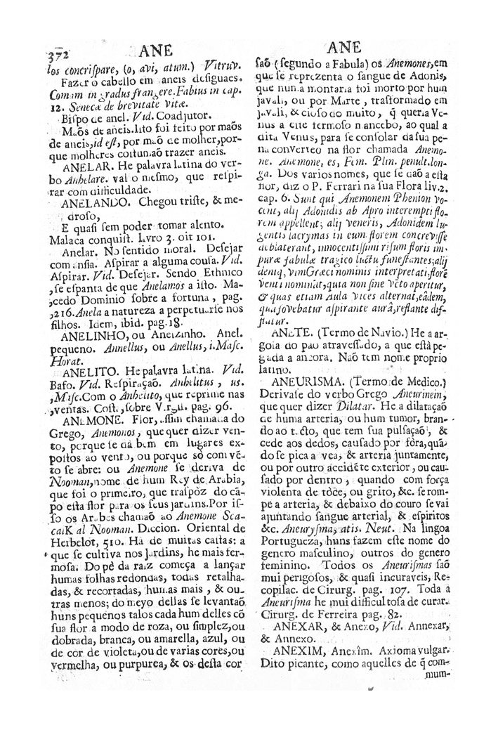 Página 362_VOCABULARIO PORTUGUEZ & LATINO, aulico, anatomico, architectonico...