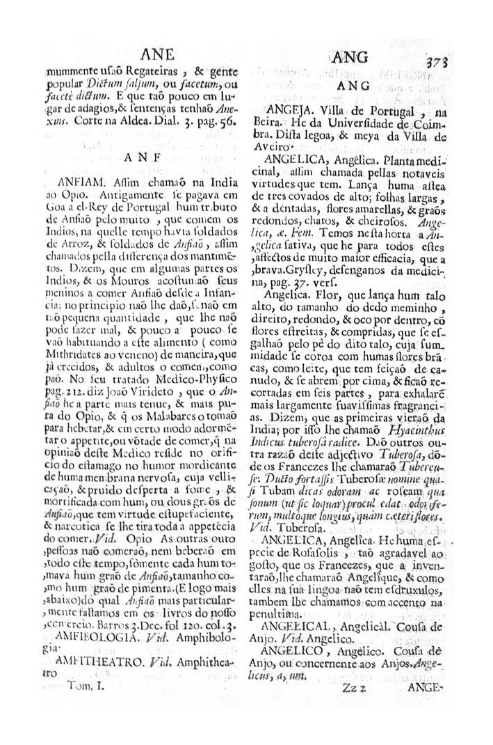 Página 363_VOCABULARIO PORTUGUEZ & LATINO, aulico, anatomico, architectonico...