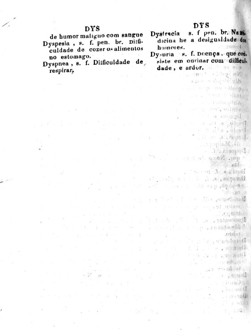 Página 384_Diccionario da Lingua Brasileira