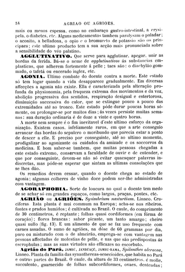 Página 66_Diccionario de Medicina Popular e das sciencias accessórias para uso das familias