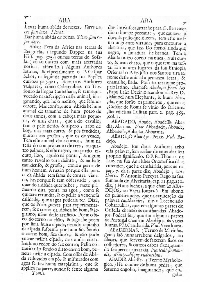 Página 7_VOCABULARIO PORTUGUEZ & LATINO, aulico, anatomico, architectonico...