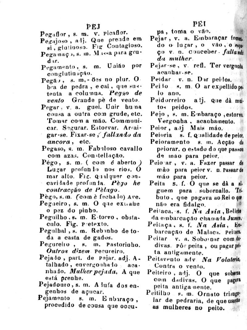 Página 797_Diccionario da Lingua Brasileira