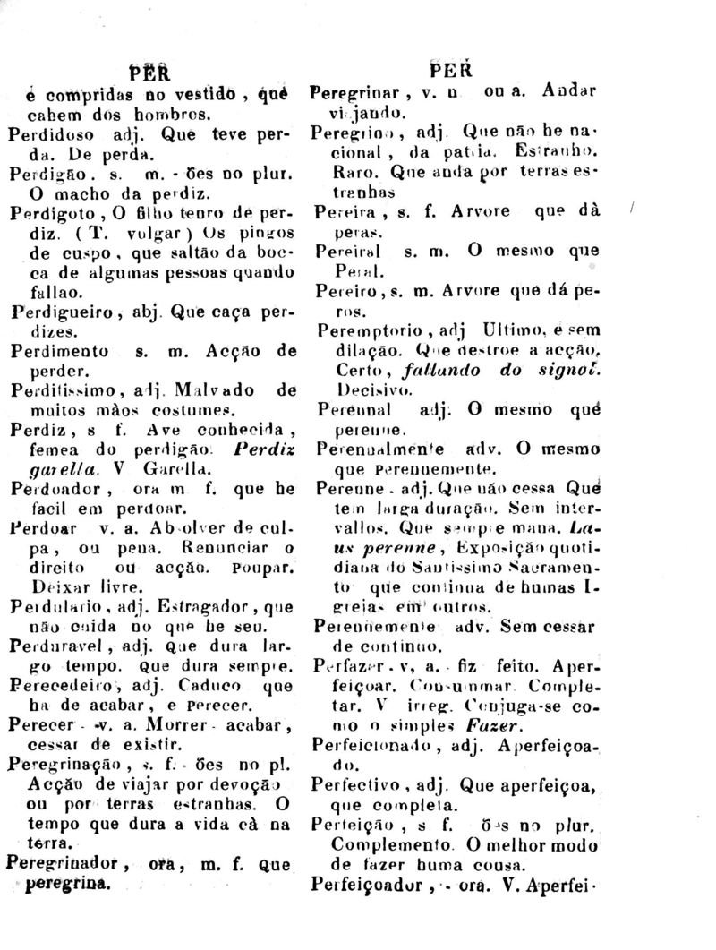 Página 804_Diccionario da Lingua Brasileira