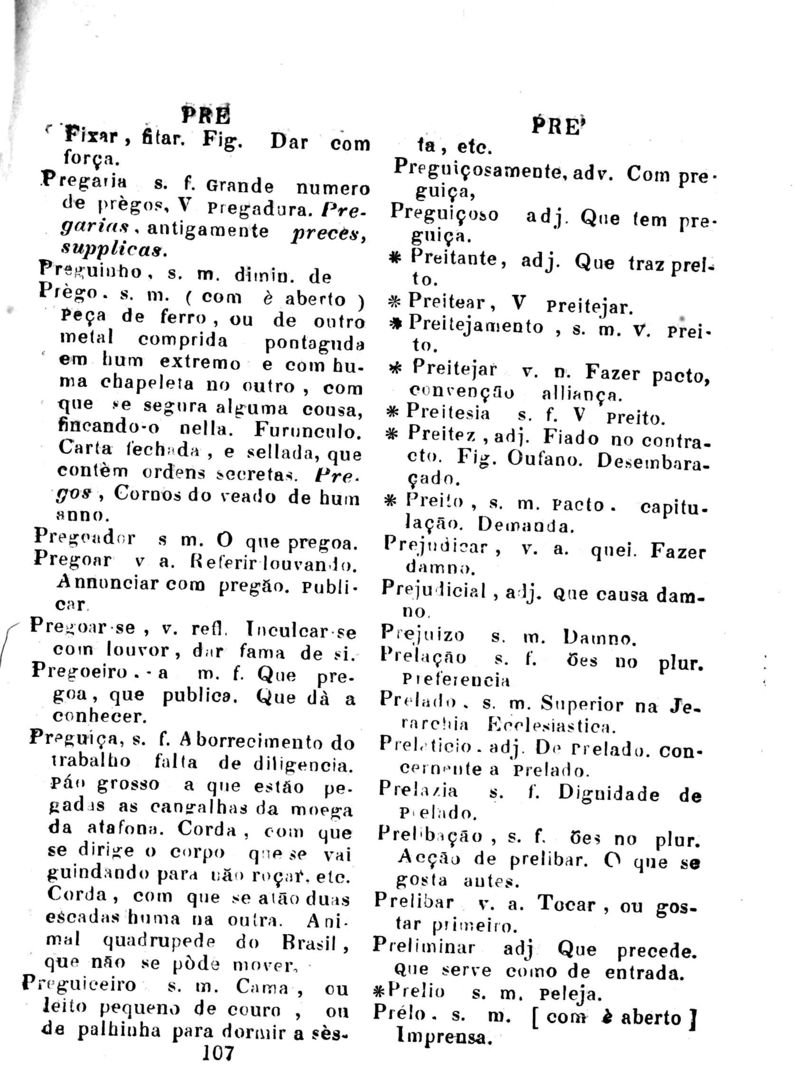 Página 848_Diccionario da Lingua Brasileira
