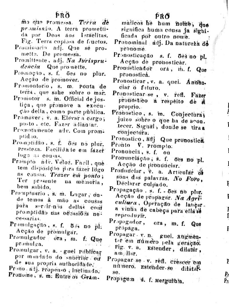 Página 861_Diccionario da Lingua Brasileira