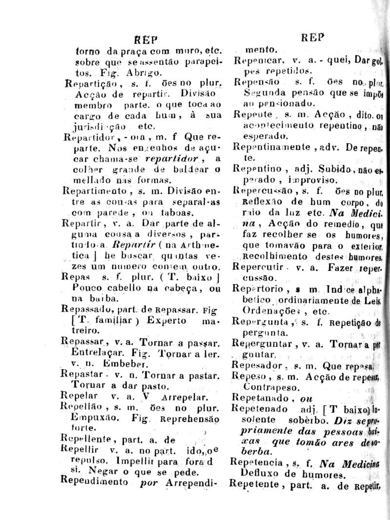 Página 917_Diccionario da Lingua Brasileira
