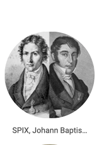 VIAJANTES