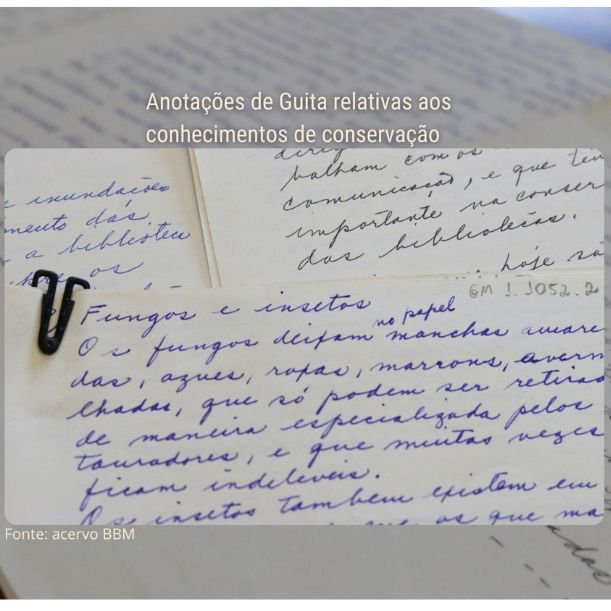 Anotações Guita Mindlin